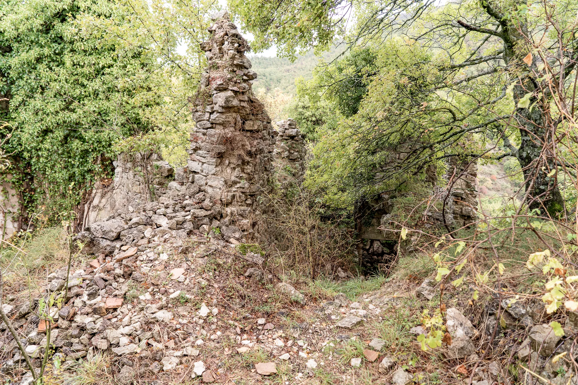 Steinruine im Wald mit Bäumen und Laub
