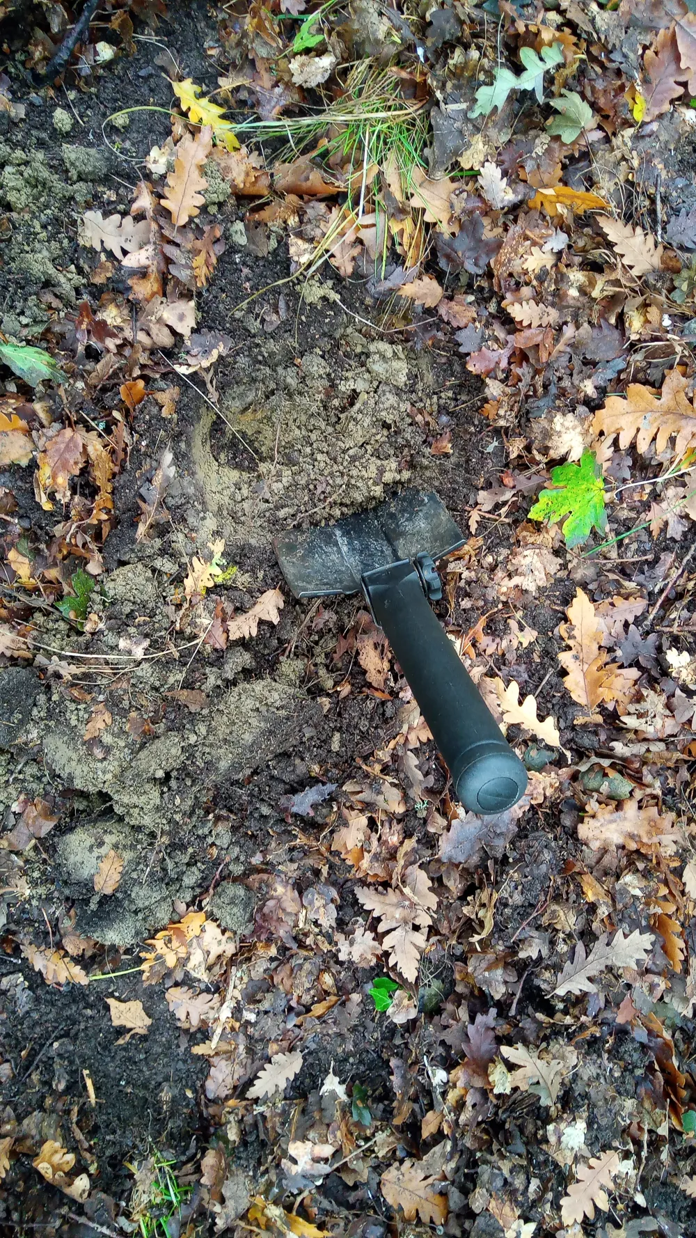 Schaufel in Erdloch unter Laub im Wald