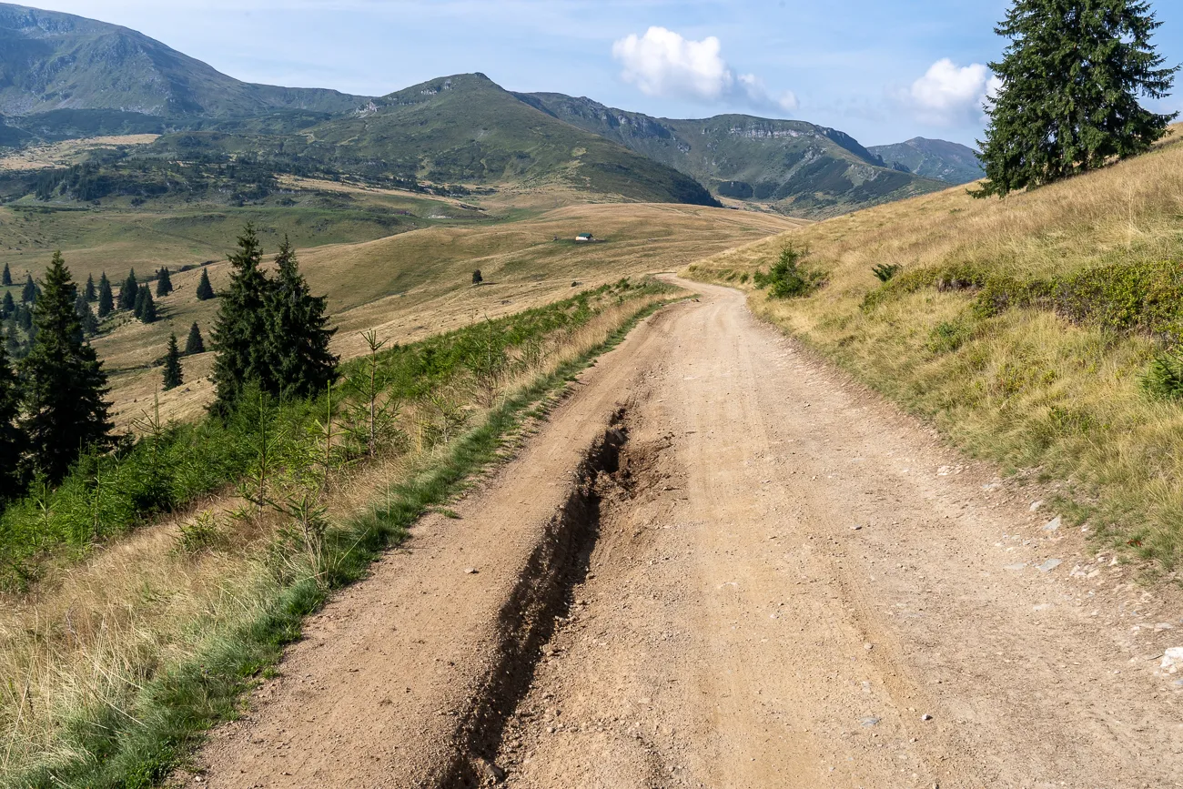 Dreckiger Weg durch das Rodna-Gebirge mit Bergen und Bäumen