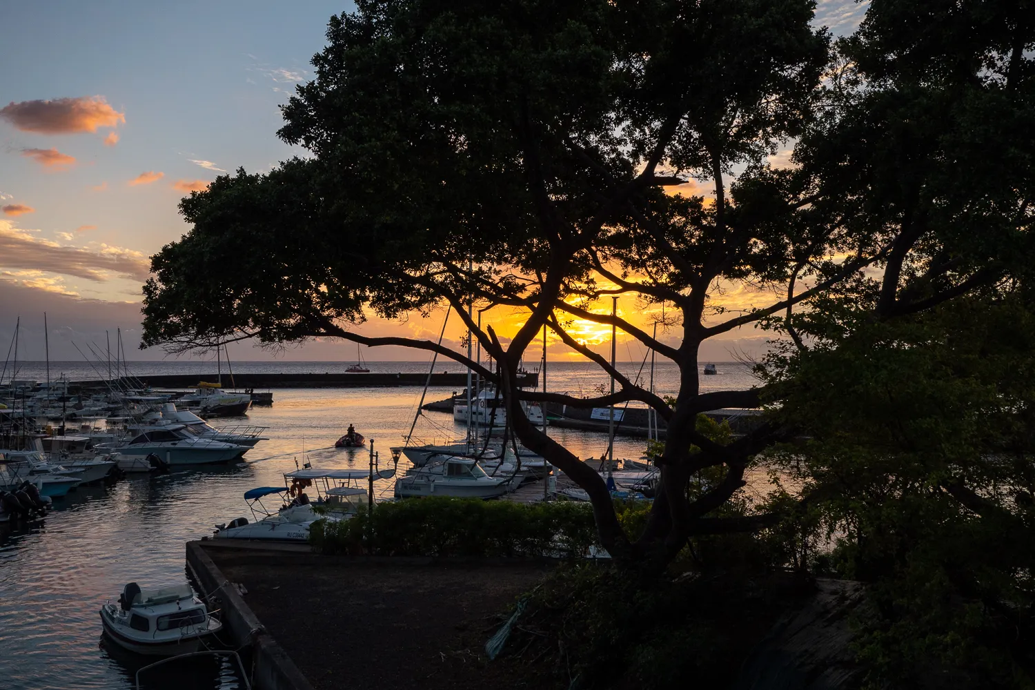 Sonnenuntergang über Hafen mit Booten und Baum