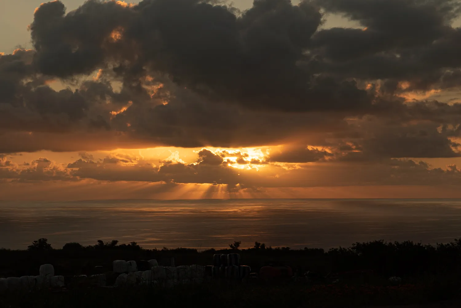 Sonnenuntergang mit Strahlen über Meer, dunkle Wolken, Silhouetten von Pflanzen und Steinen