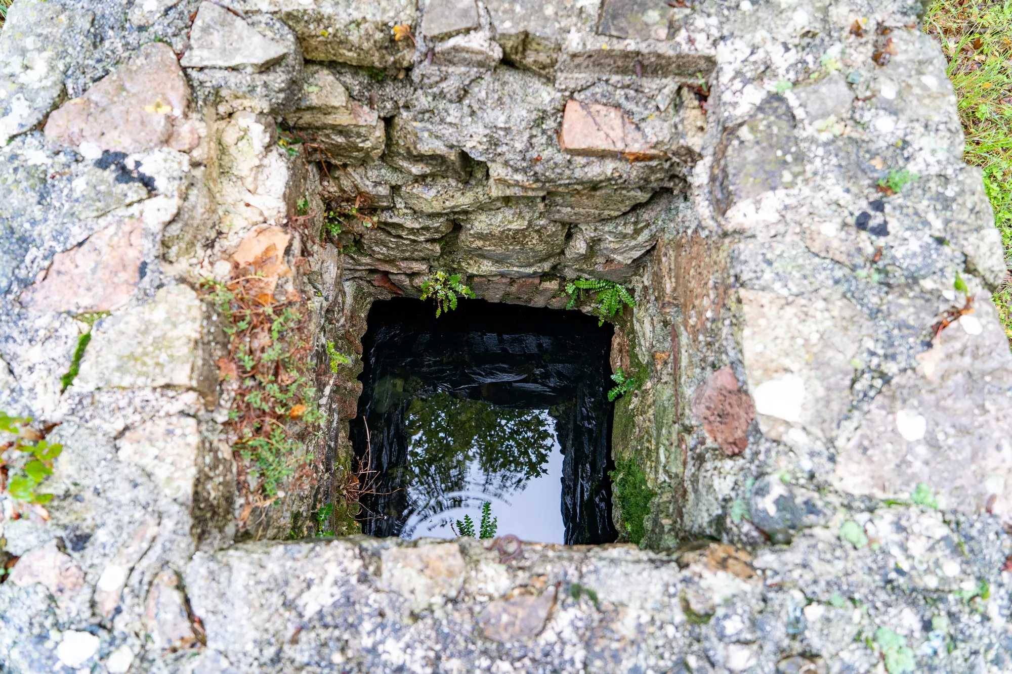 Steinernes Loch mit Wasser und Spiegelung von Bäumen
