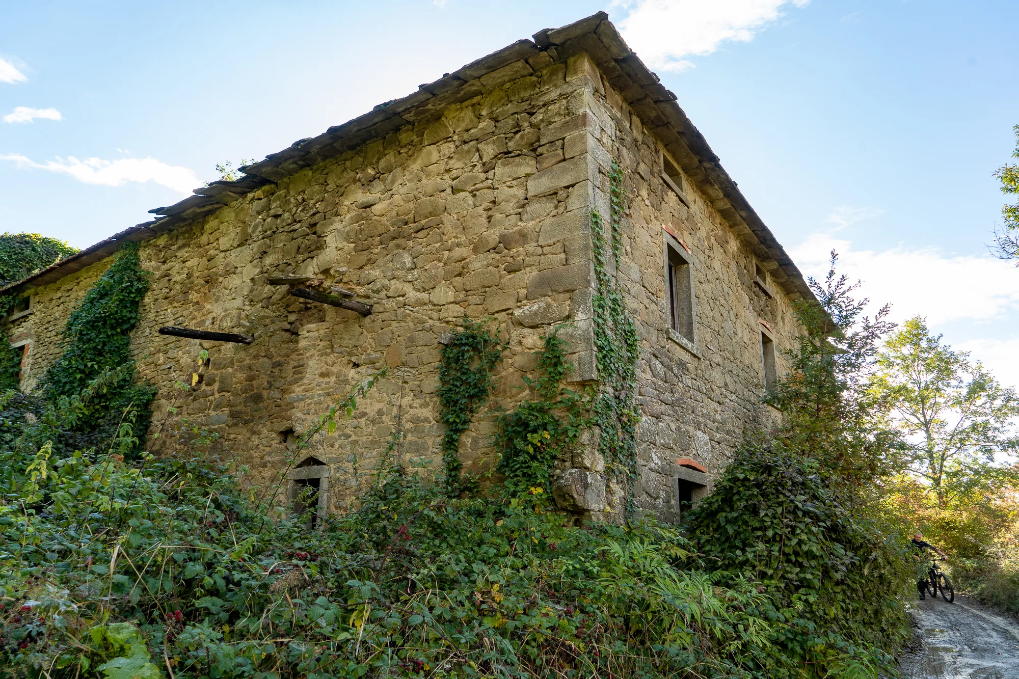 Altes Steinhaus mit Efeu, umgeben von Grünzeug und Baum.