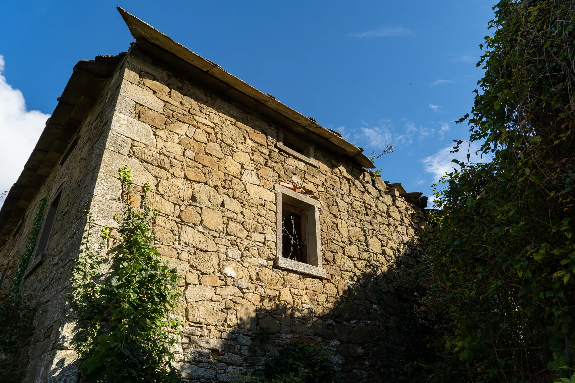 Steinhaus mit Kletterpflanzen und blauem Himmel im Morgennebel