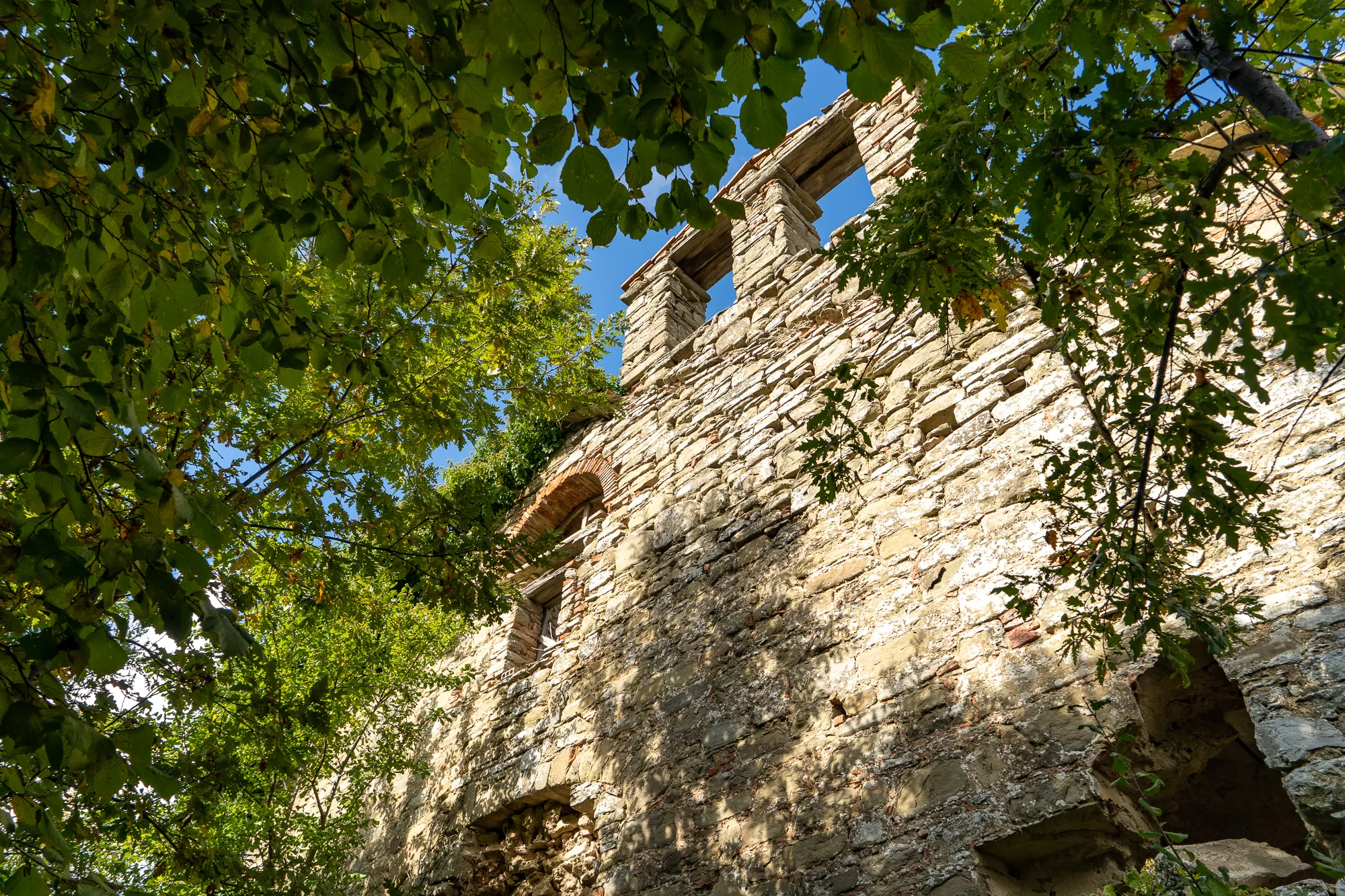 Steinmauer unter grünen Baumkronen mit blauem Himmel