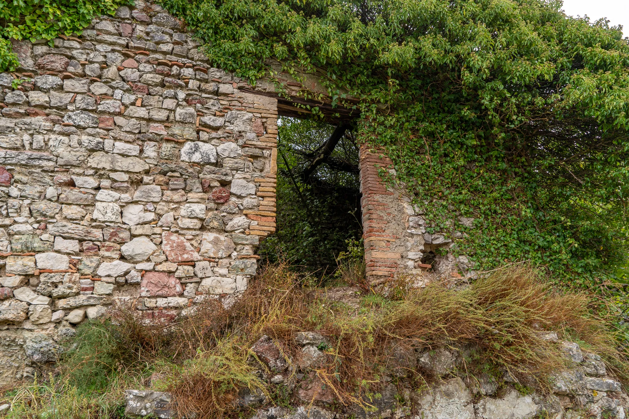 Verfallene Steinmauer mit Pflanzenbewuchs und Fensteröffnung