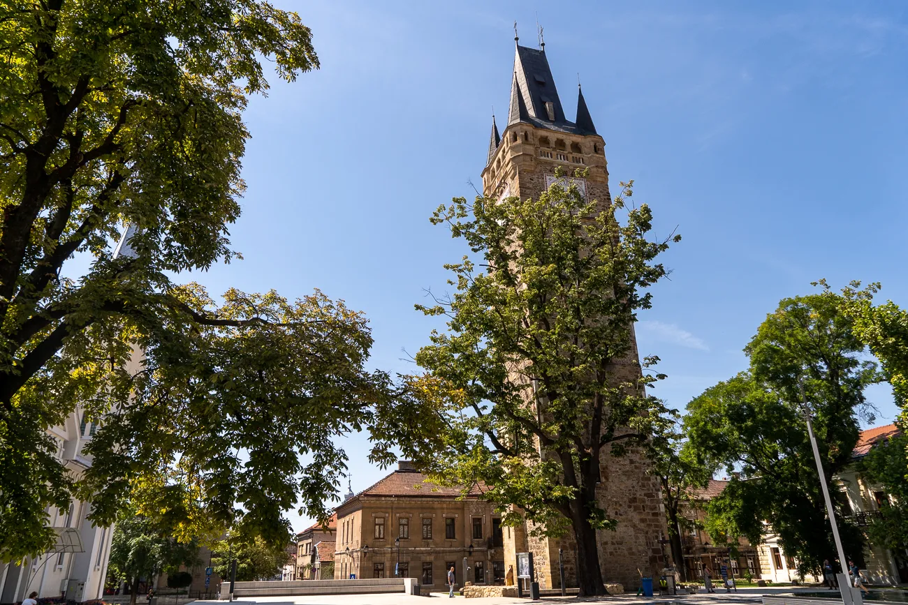 hoch aufragender steinerner turm mit spitzen dach zwischen grünen bäumen