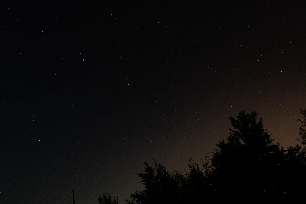 Sternenhimmel über Baumkronen bei Nacht