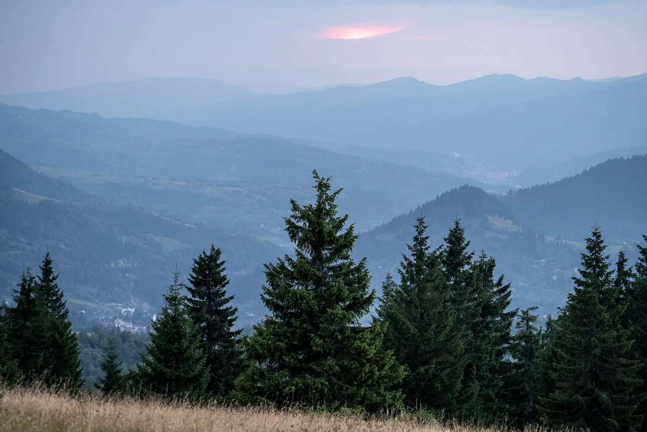 Berglandschaft mit Tannen und verschwommenen Gipfeln im Dunst