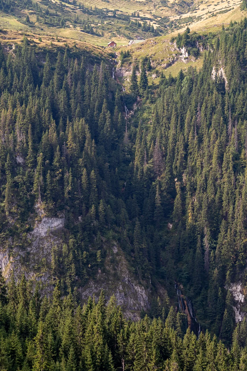 Dichte Tannenwälder in den Bergen mit Wasserfall und rotem Haus