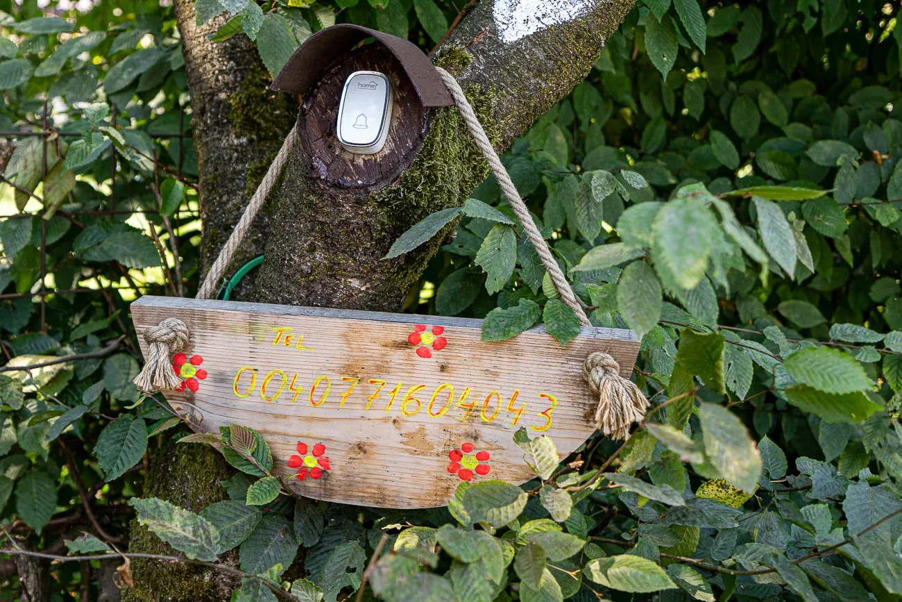 Holzschild mit Telefonnummer an Baumstamm im Wald