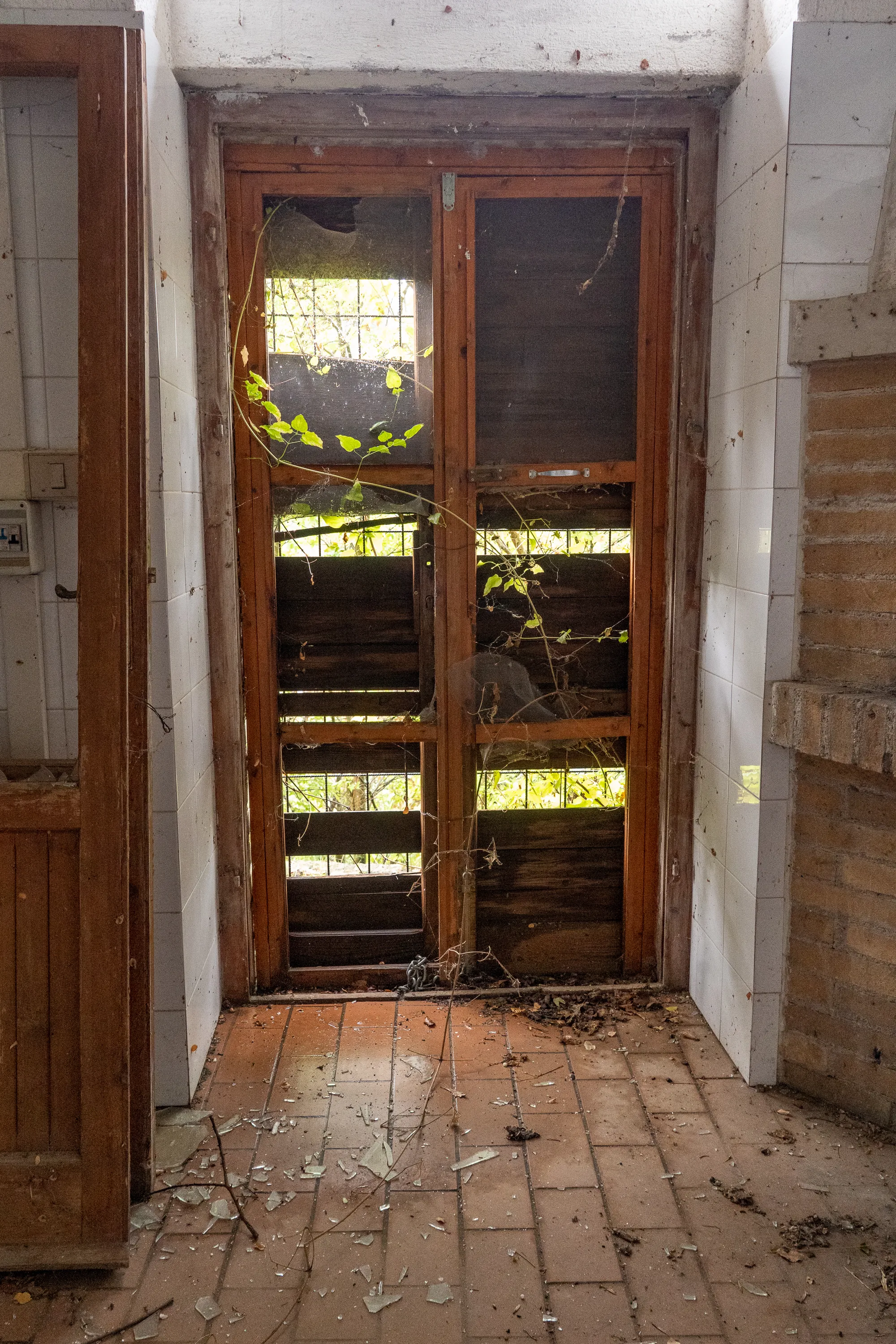 Verlassene Holztür mit zerbrochenem Glas und Pflanzenwuchs im Innenhof