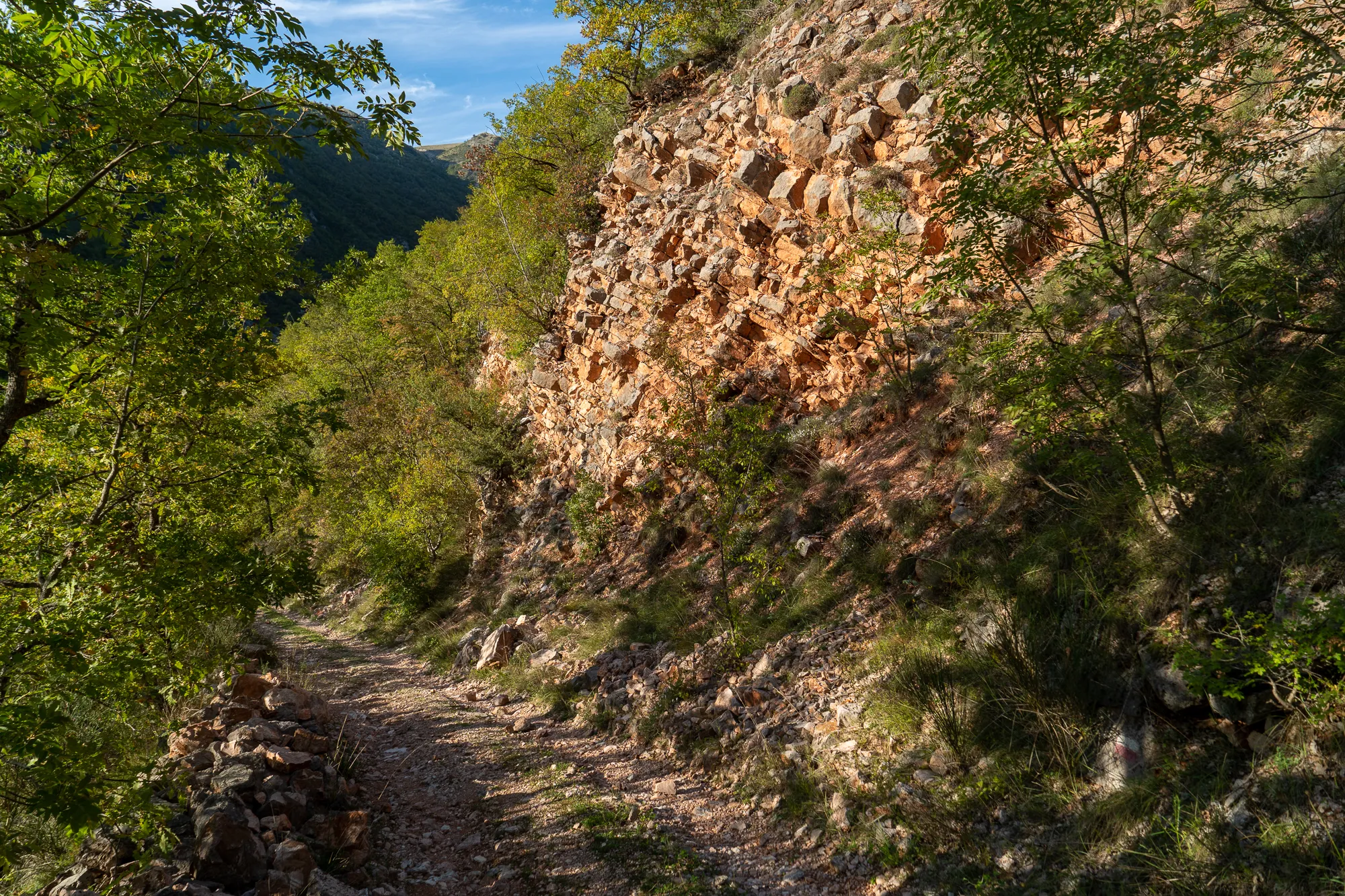Weg zwischen Bäumen entlang steiler Felswand im Wald