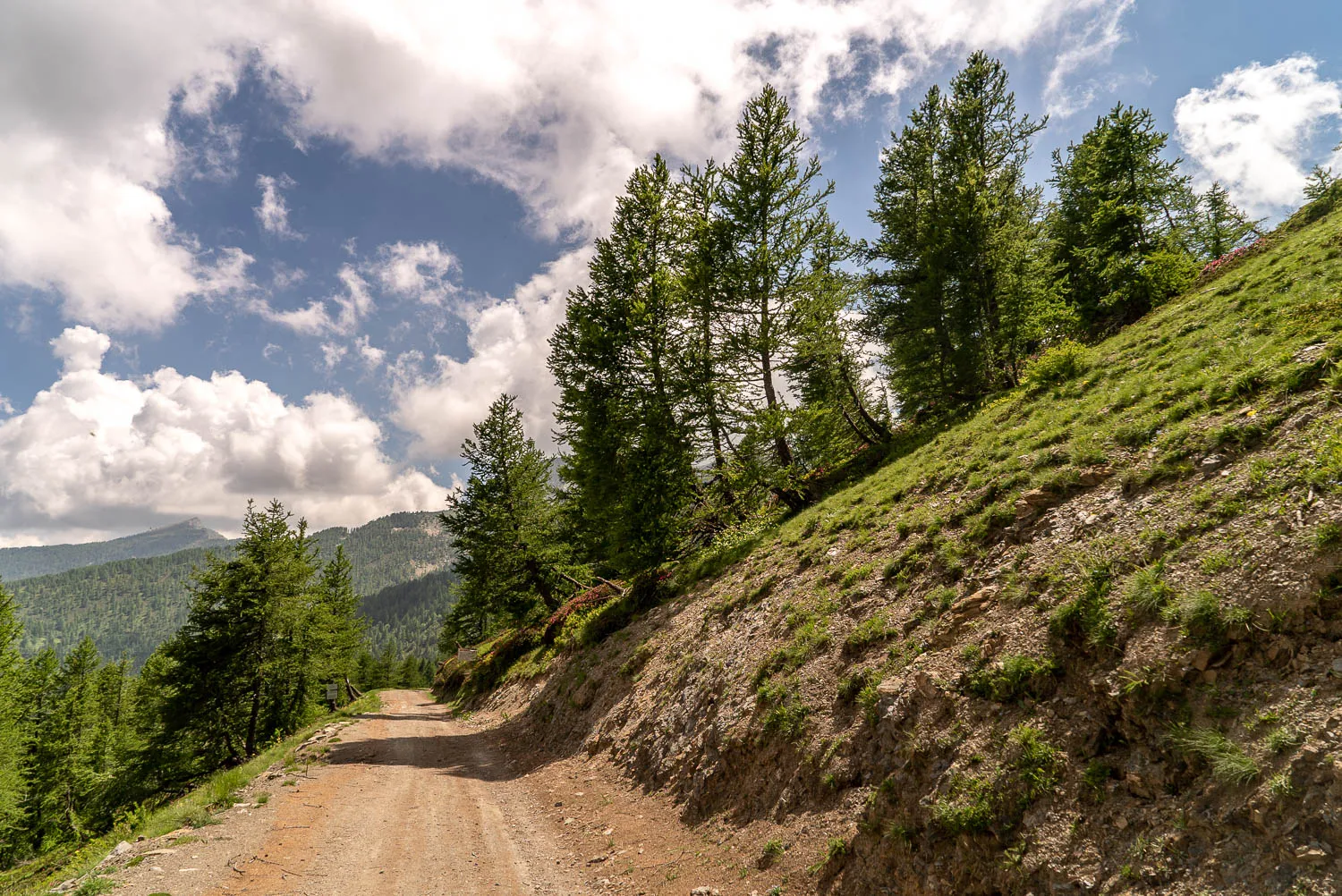 Dreckiger Waldweg durch grüne Berghänge unter blauem Himmel mit weißen Wolken