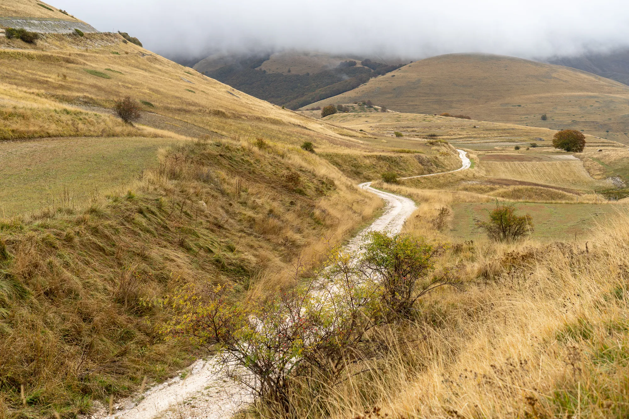 Weg durch trockene Hügellandschaft mit Nebel im Hintergrund