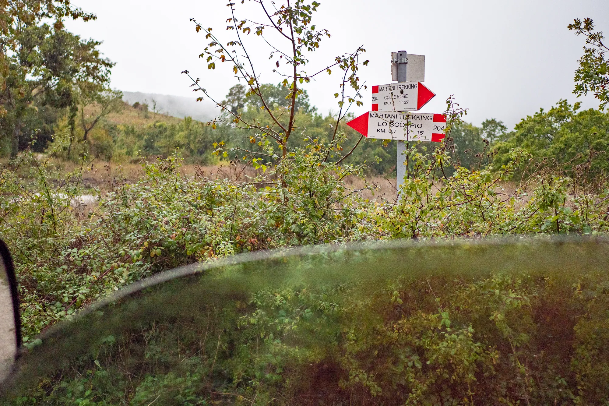 Wanderwegschild in dichtem Buschwerk, teilweise durch Windschutzscheibe gesehen