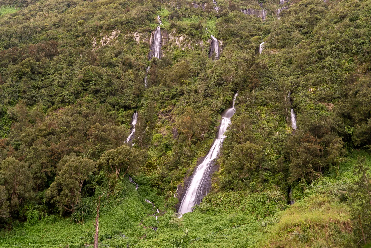 Mehrere Wasserfälle fließen durch dichten grünen Wald auf einem Berg.