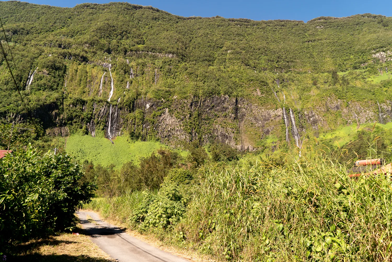 Wald mit Wasserfällen und schmaler Straße im Vordergrund