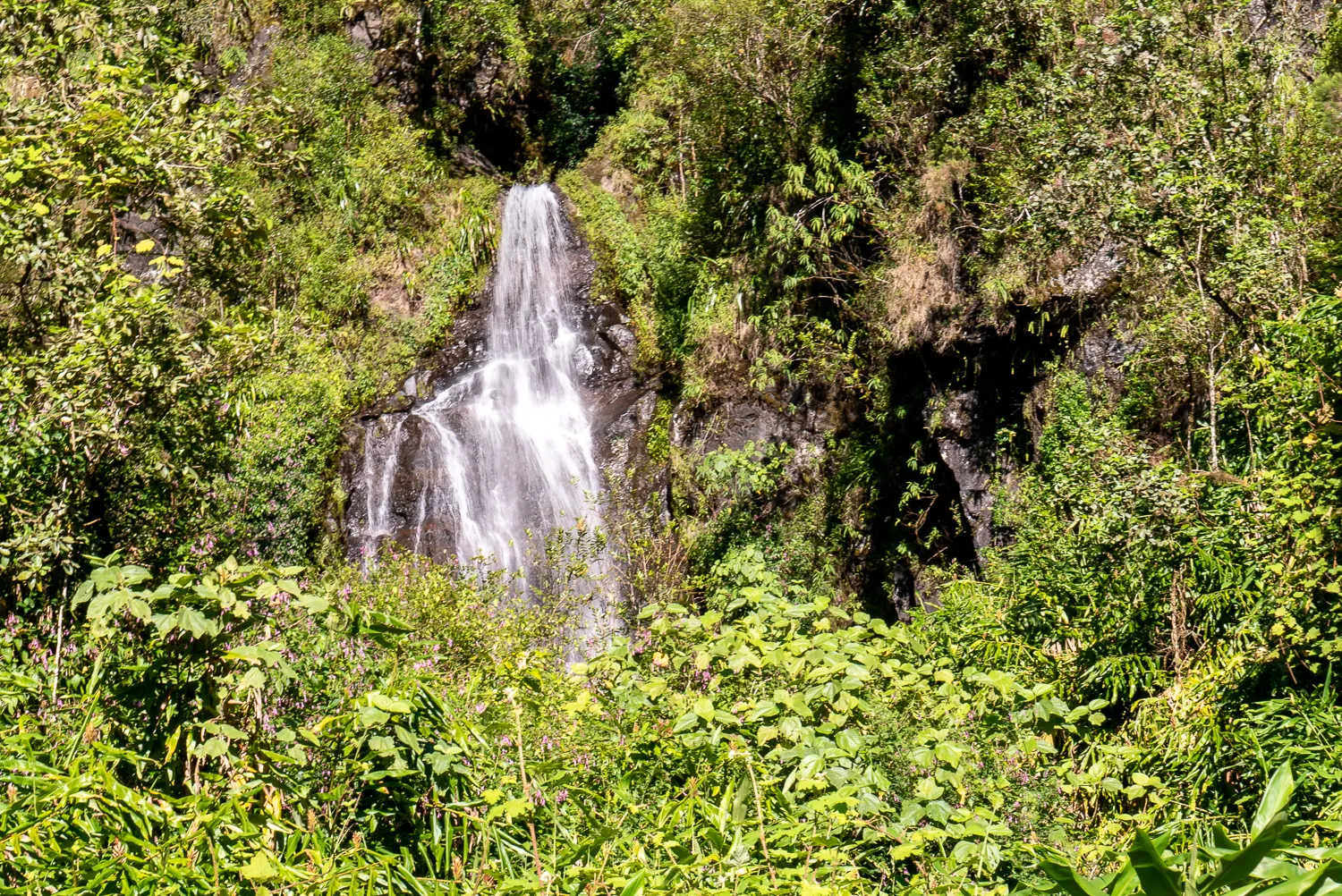Wasserfall in dichtem grünem Wald