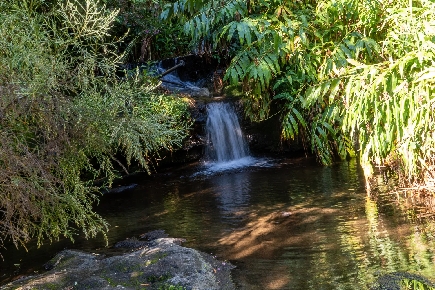 Wasserfall in dichtem grünem Wald mit Sonnenlicht auf dem Wasser