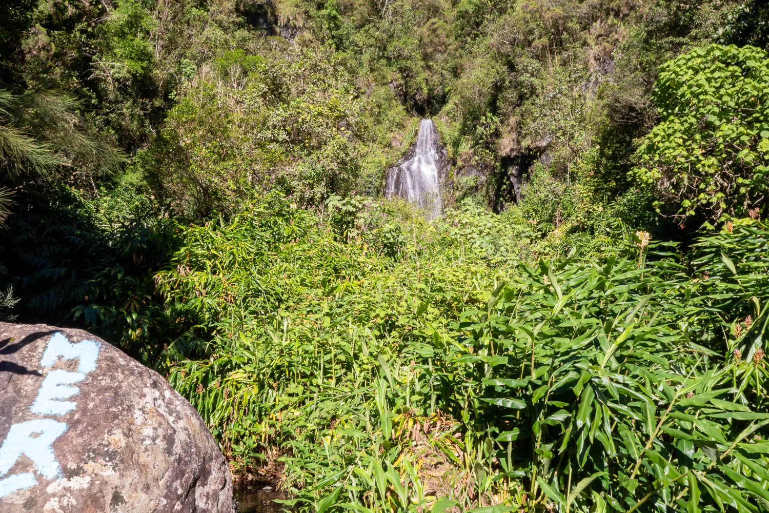 Wasserfall in dichtem grünem Wald, Stein mit blauer Beschriftung im Vordergrund