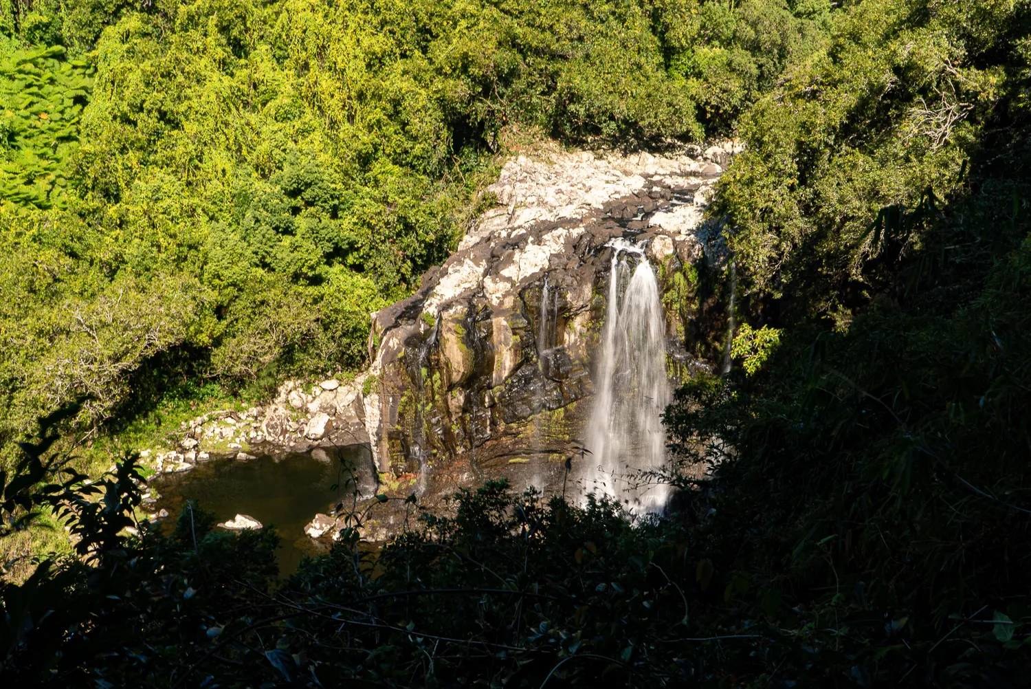 Wasserfall fällt in einen Teich, umgeben von dichtem grünen Wald.