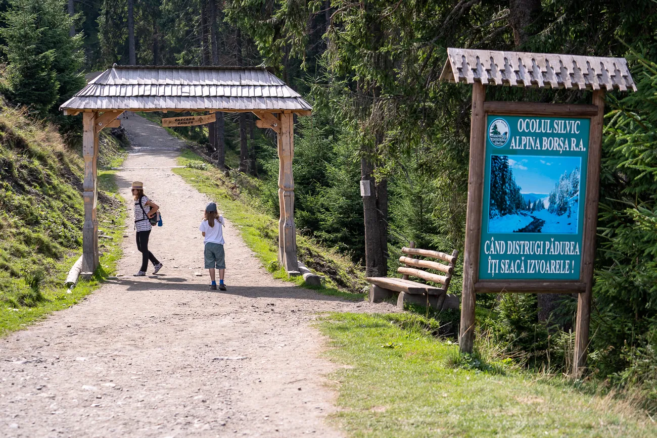 Zwei Personen gehen auf einem Waldweg unter einer Holzbrücke.