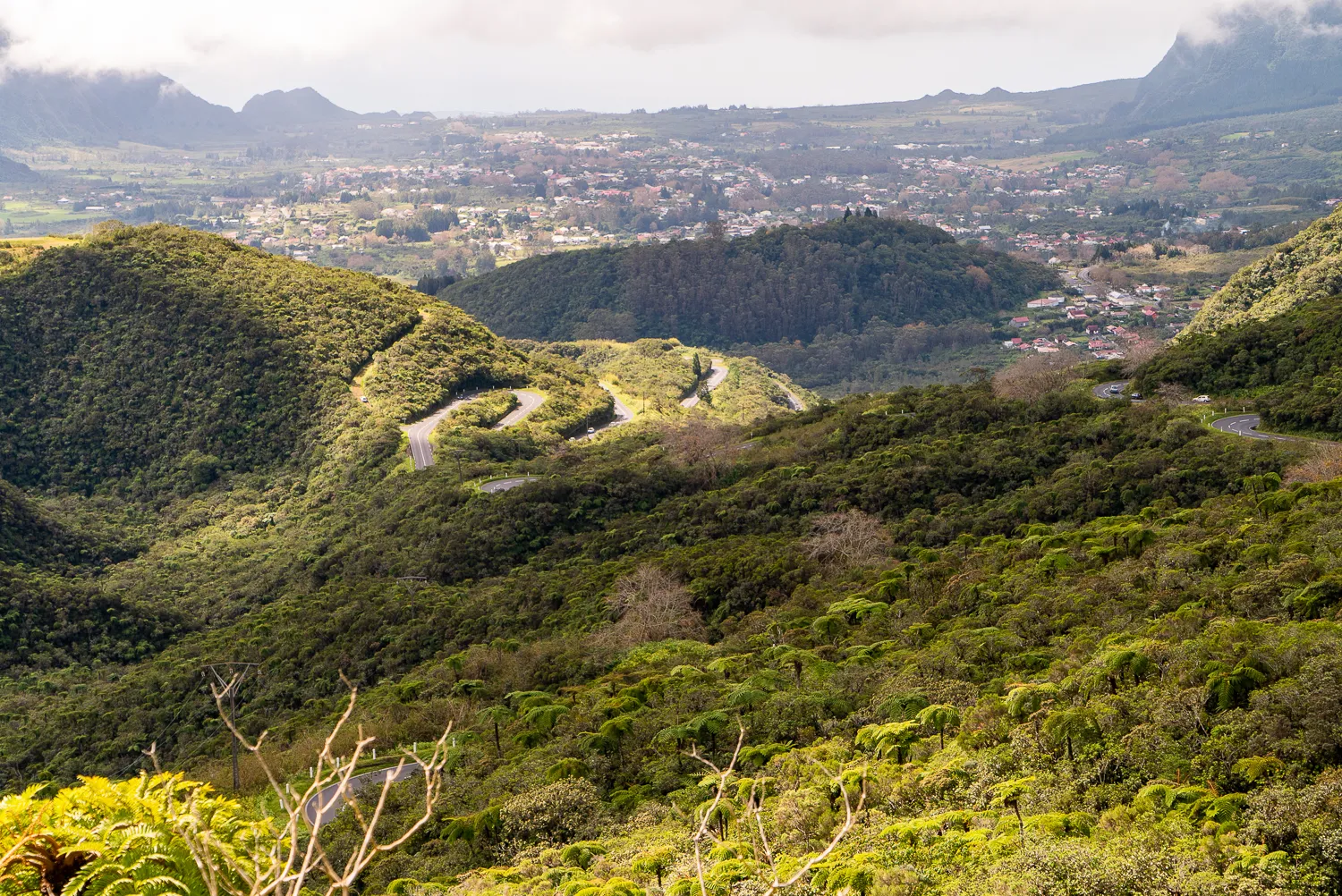 Weg durch grüne Hügel mit Blick auf eine Stadt im Tal