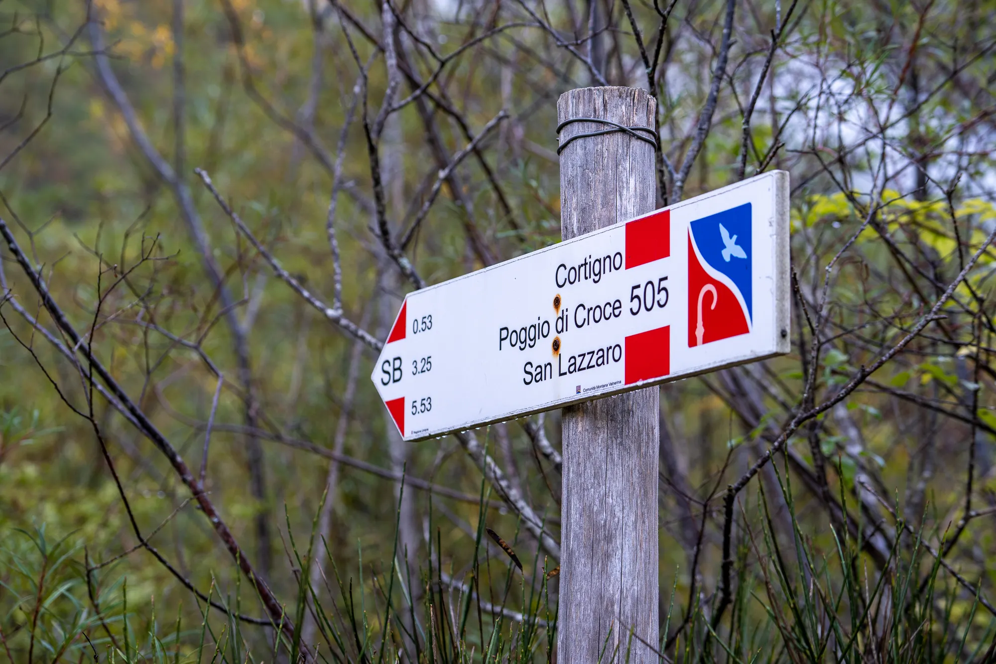 Wegweiser mit Entfernungen zu Orten in Waldlandschaft