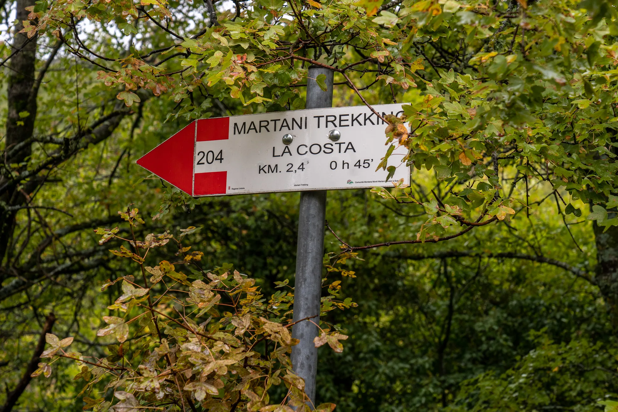 Wegweiser für Martani Trekking La Costa im Wald mit grünen Blättern