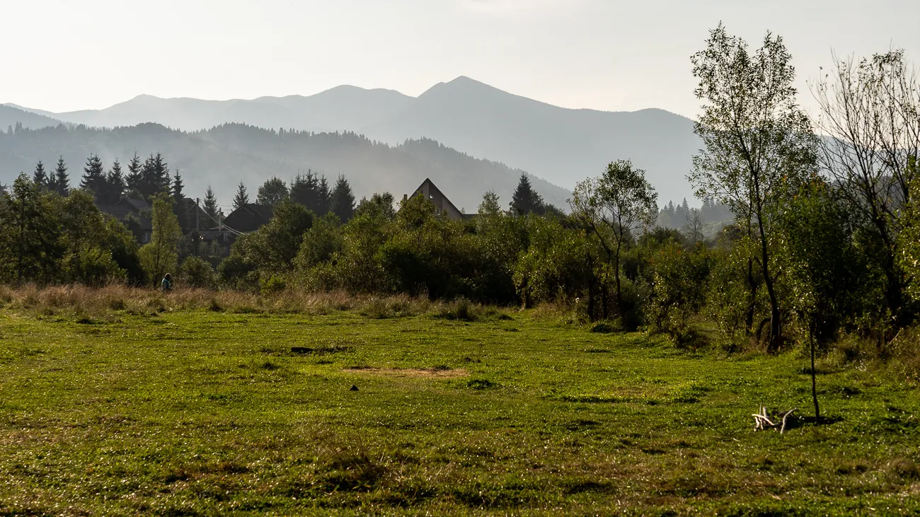 Grünes Feld mit Bäumen und Bergen im Hintergrund