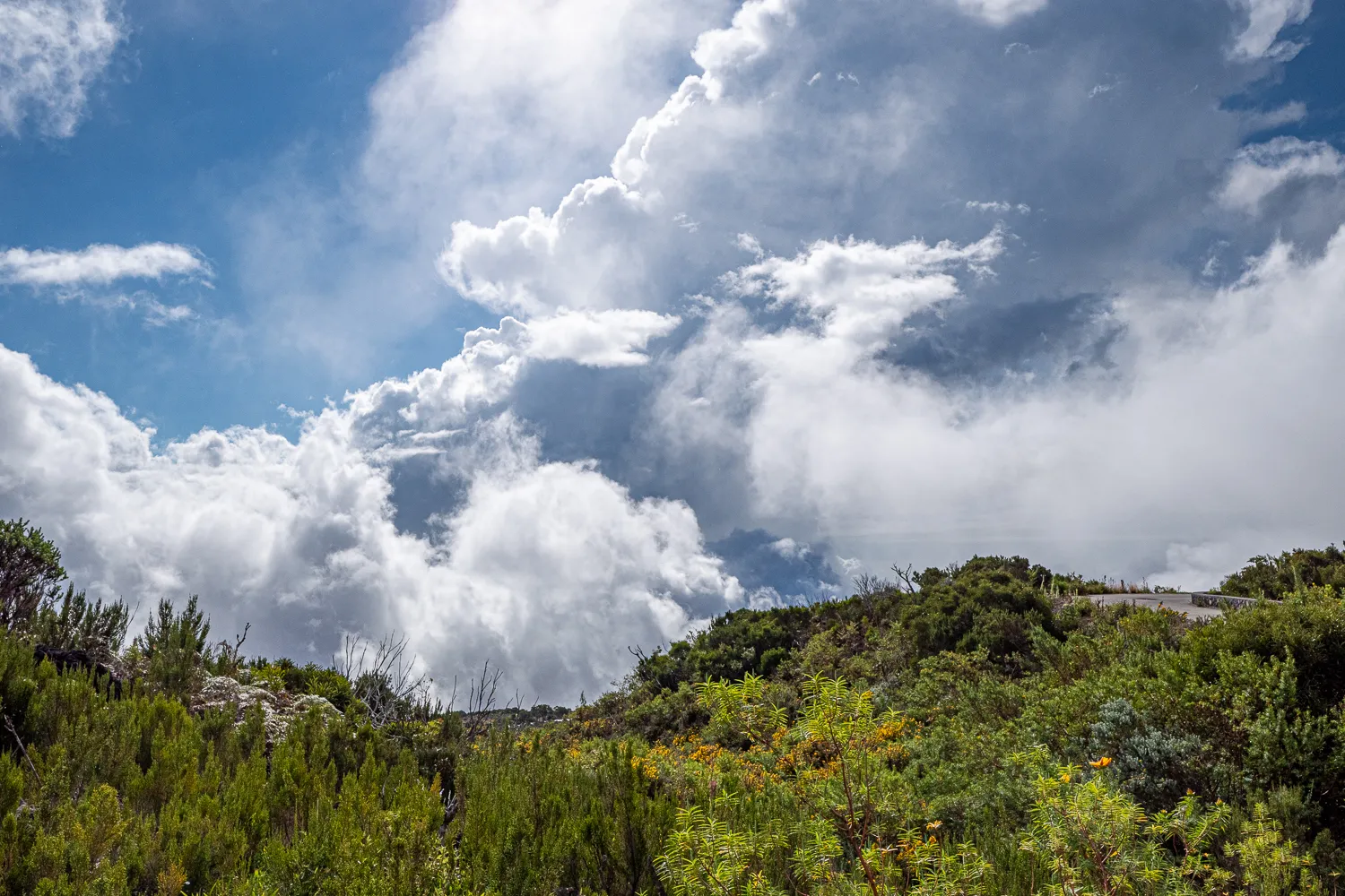 Wolken über grüne Hügel mit Straße