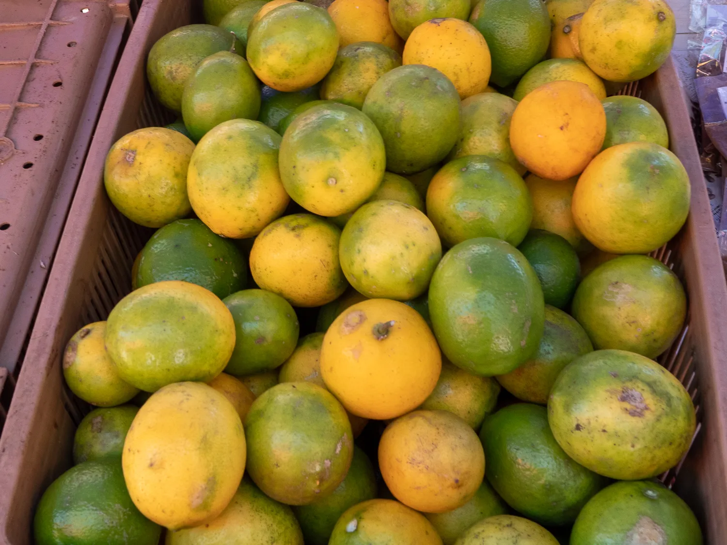 Kiste mit grün-gelben Zitrusfrüchten auf Marktstand