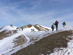 International Mountain Summit