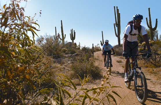 Mountain Biking