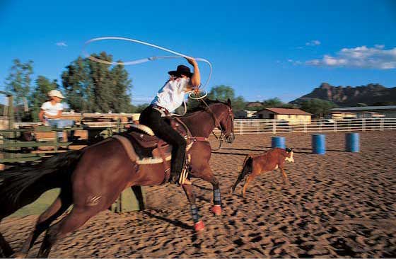 Cowgirl 