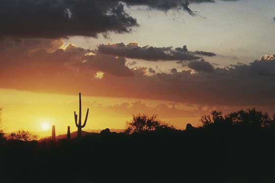 Sonnenuntergang in der Wüste