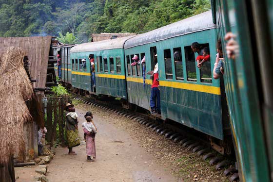 Dschungelexpress