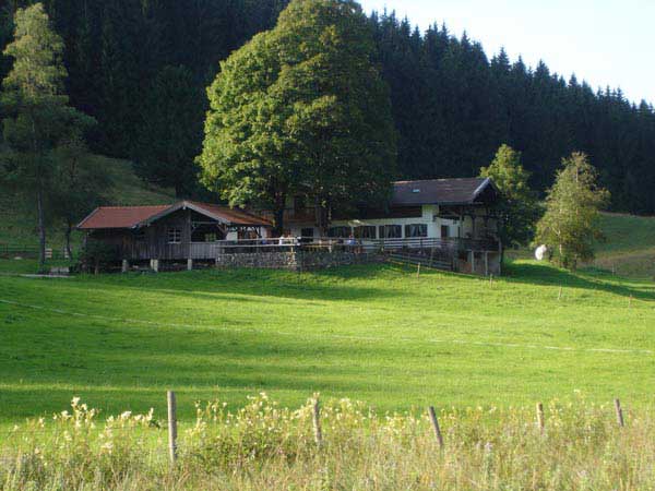 Wirtsalm