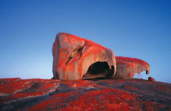 Felsen im Flinders Chase National Park