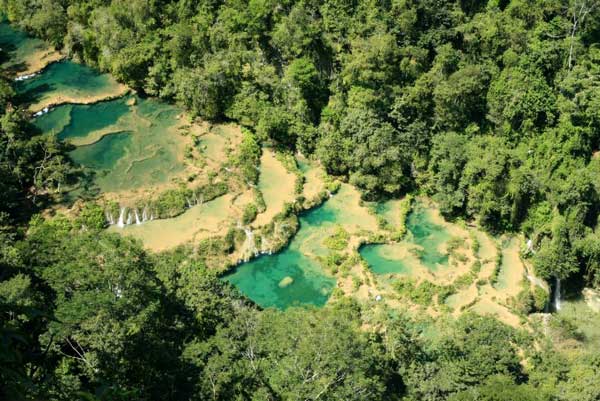 semuc