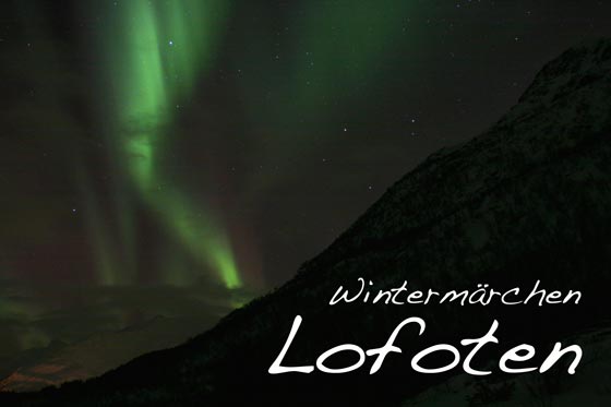 Wintermärchen Lofoten