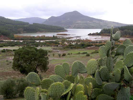 bei chefchaouen