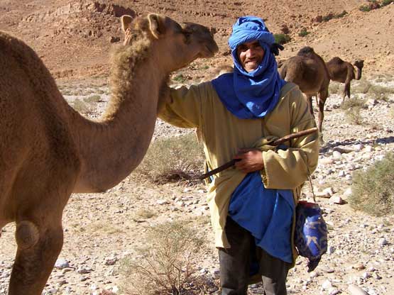 berber mit kamel
