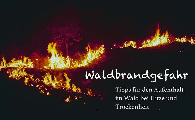 Waldbrandgefahr