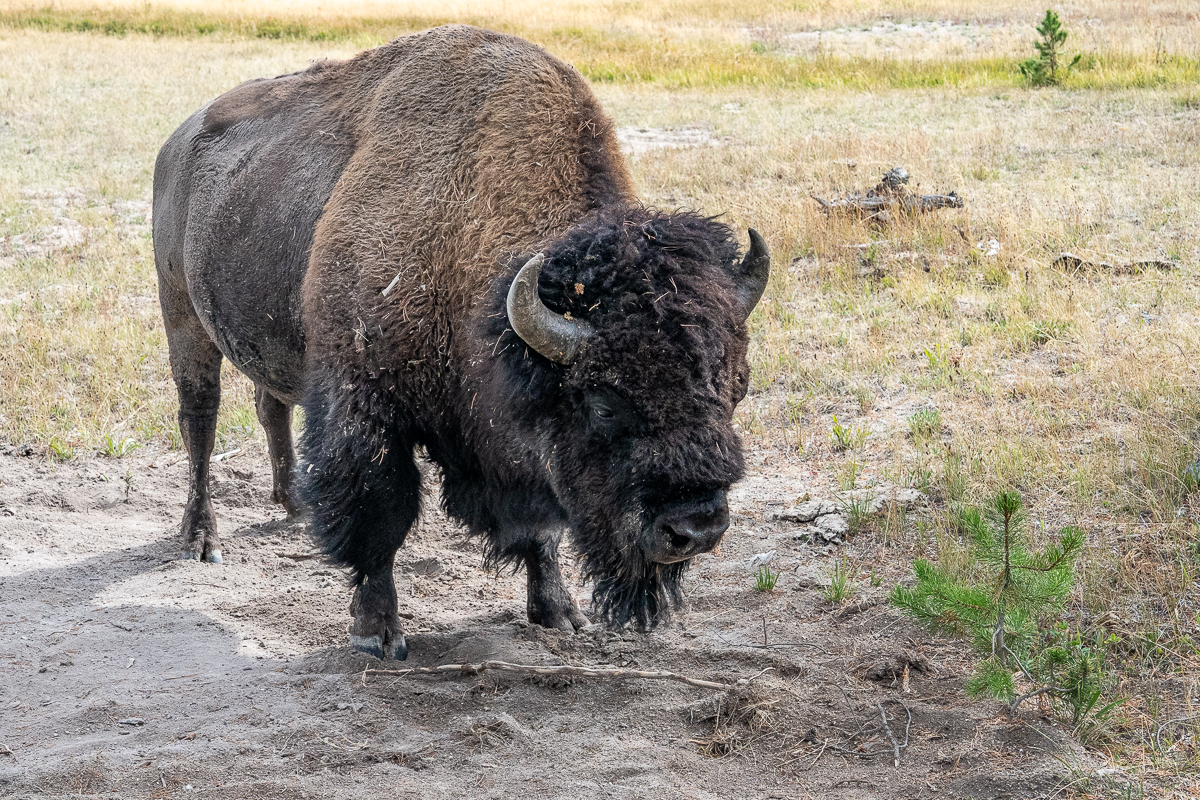 A first slider image