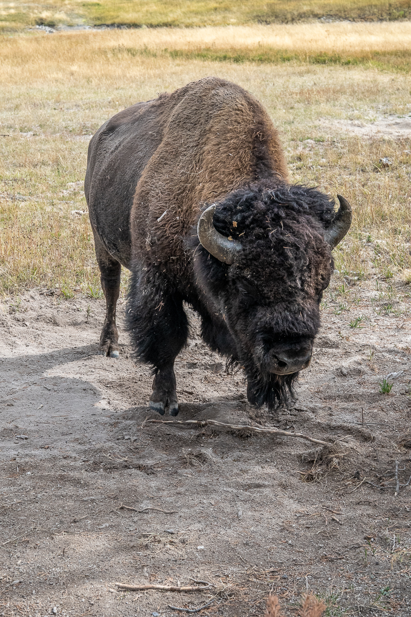 A first slider image