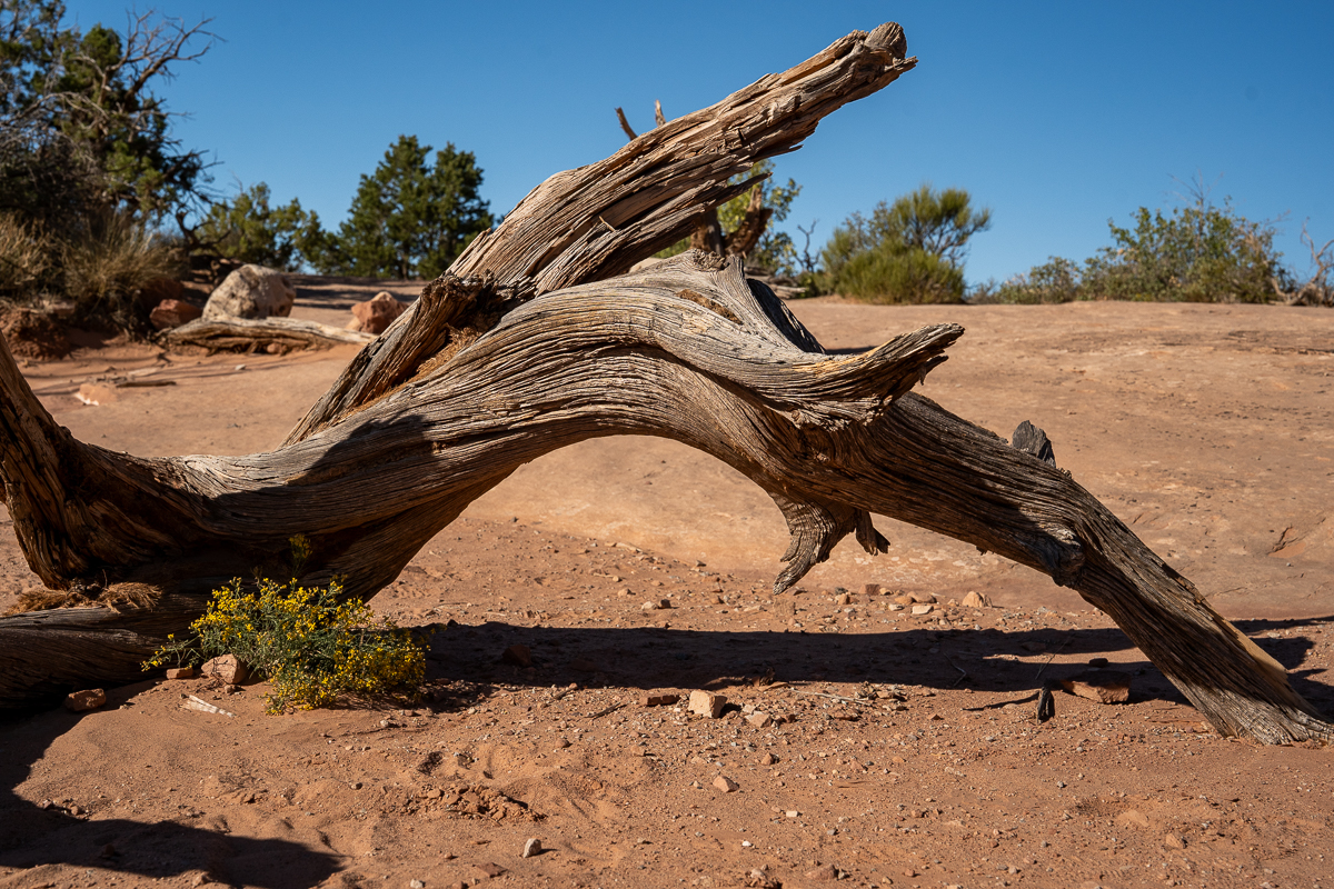 A second slider image